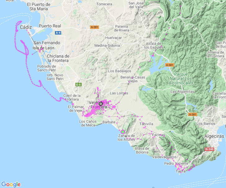 Ruta localización GPS Cerceta Pardilla